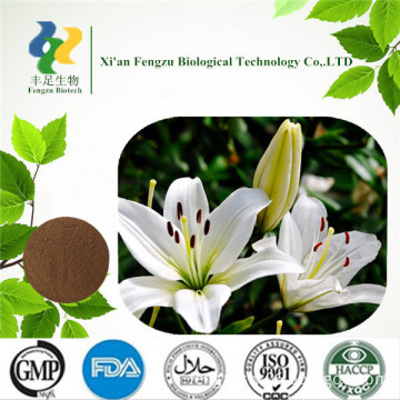 white lily extract 10:1